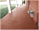 Beschrijving: th (28).jpg