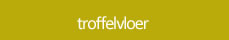 troffelvloer